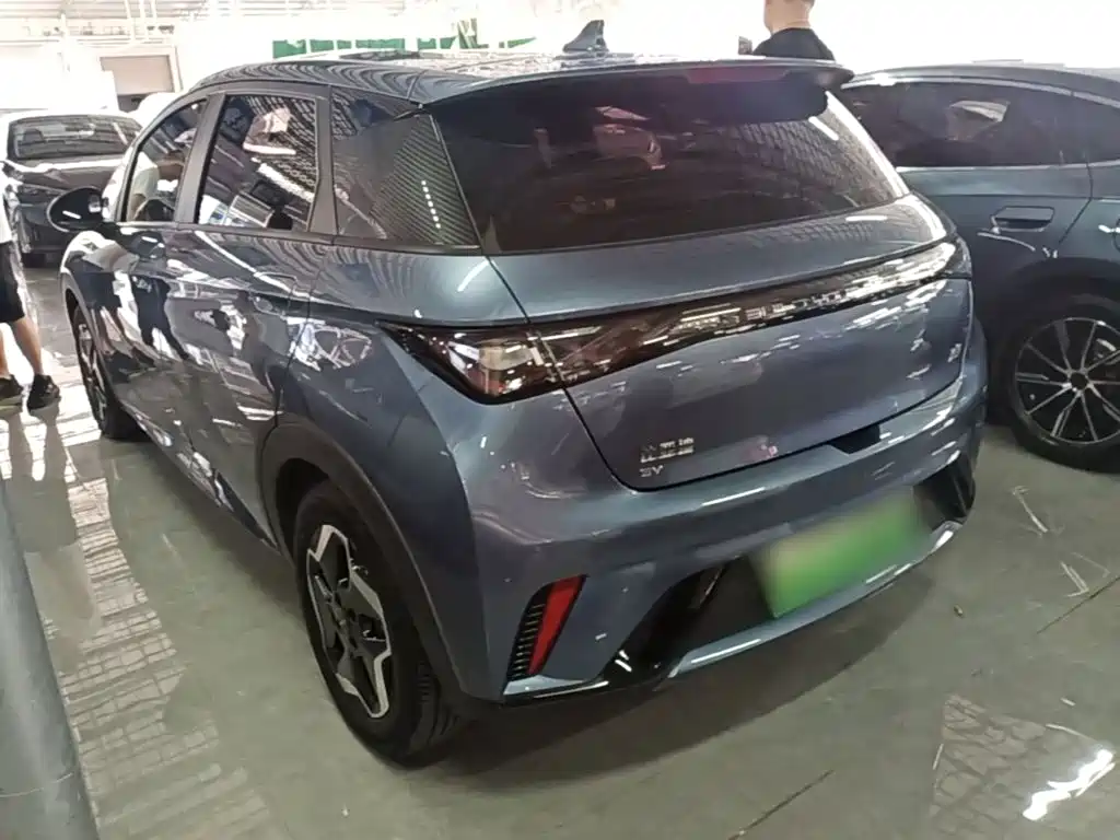 BYD Dolphin 2024