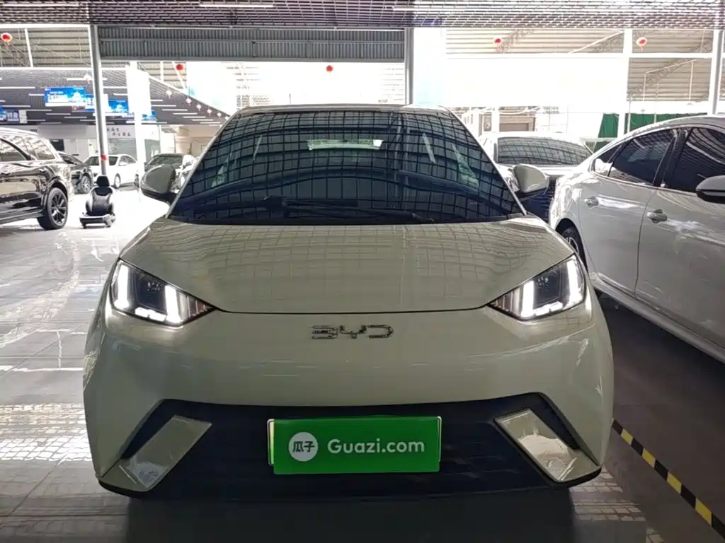 BYD Seagull 2024