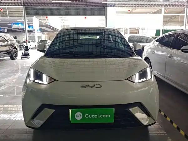 BYD Seagull 2024