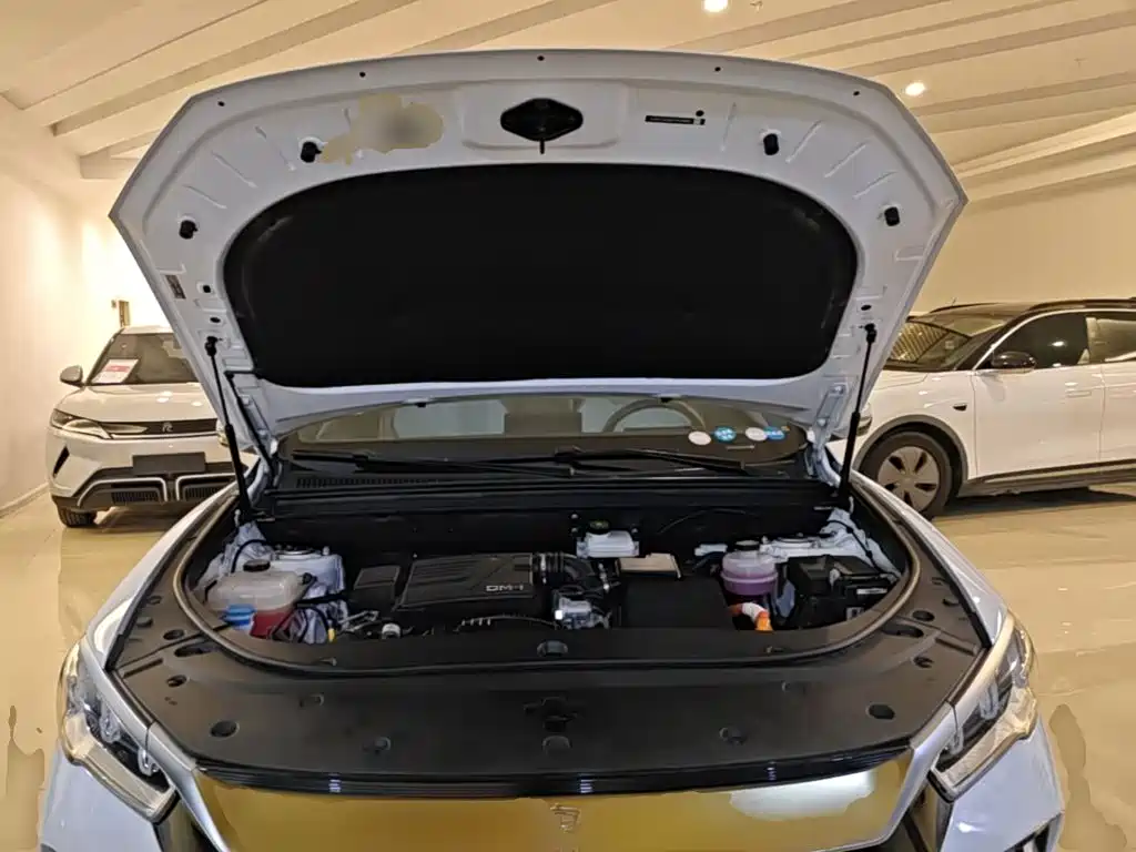 BYD Song Pro New Energy 2023 — фото 20