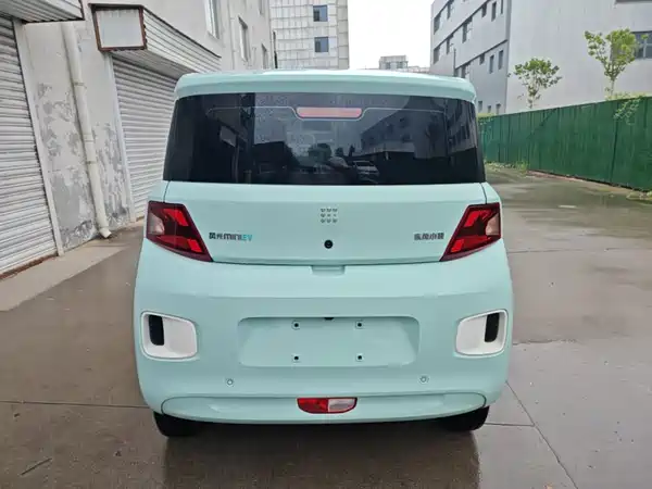 Dongfeng Scenery MINIEV 2024