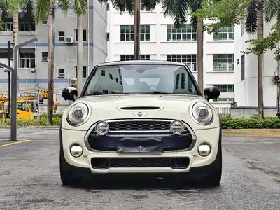 MINI MINI 2015