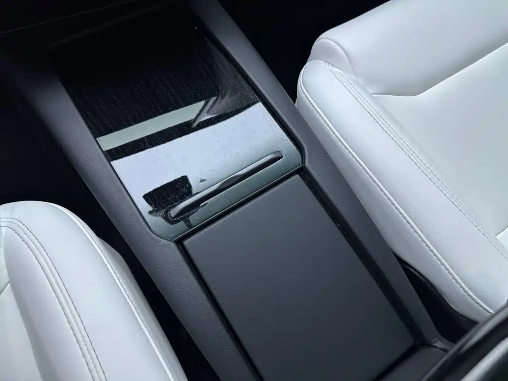 Tesla Model X 2021 — фото 16