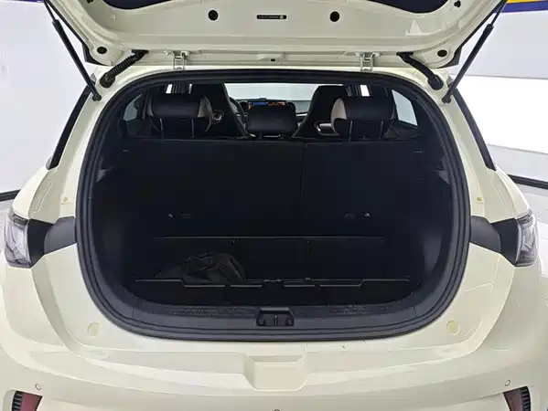BYD Dolphin 2023