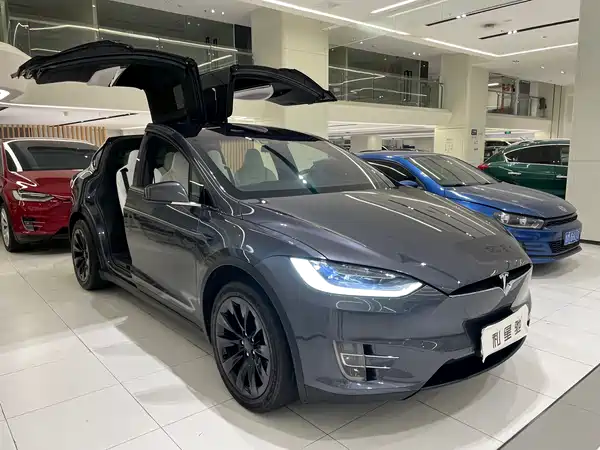 Tesla Model X 2019