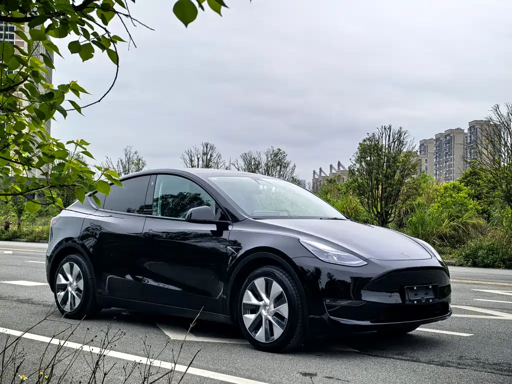 Tesla Model Y 2023 — фото 3