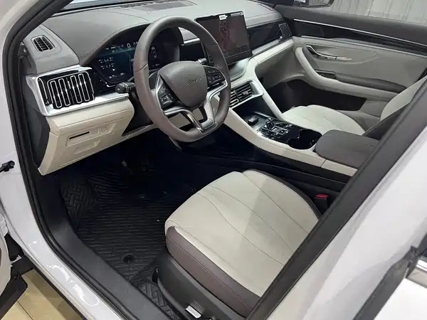 BYD Song PLUS New Energy 2024