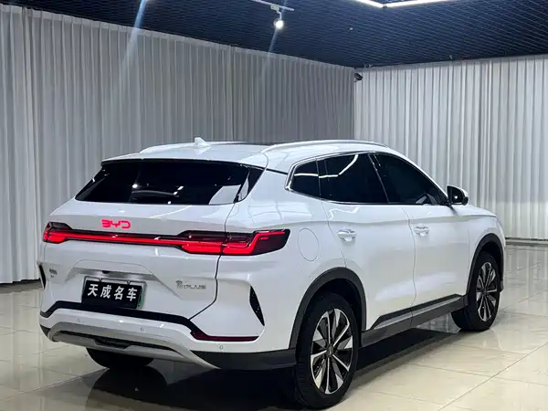 BYD Song PLUS New Energy 2024