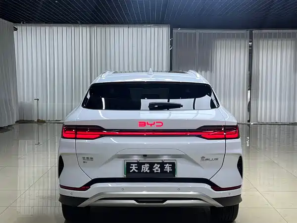 BYD Song PLUS New Energy 2024