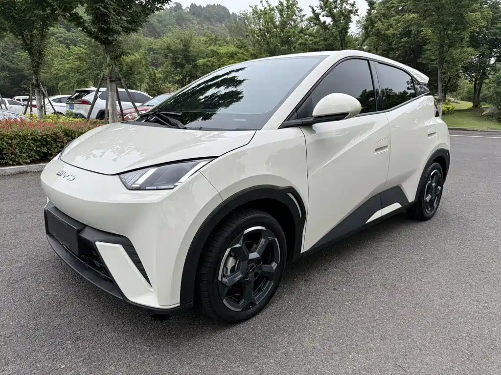 BYD Seagull 2023 — фото 1