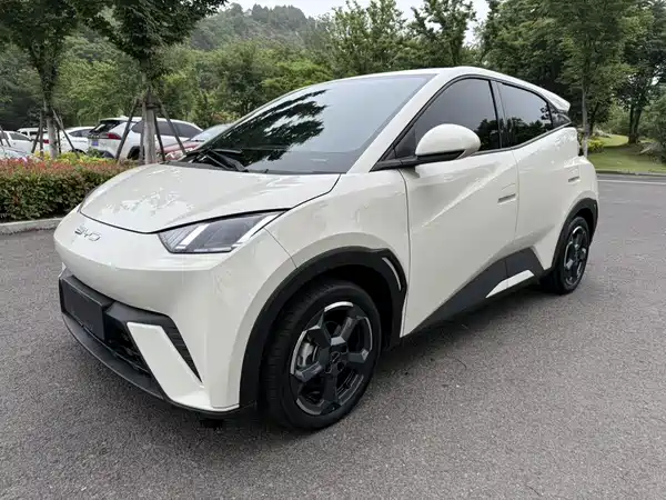 BYD Seagull 2023