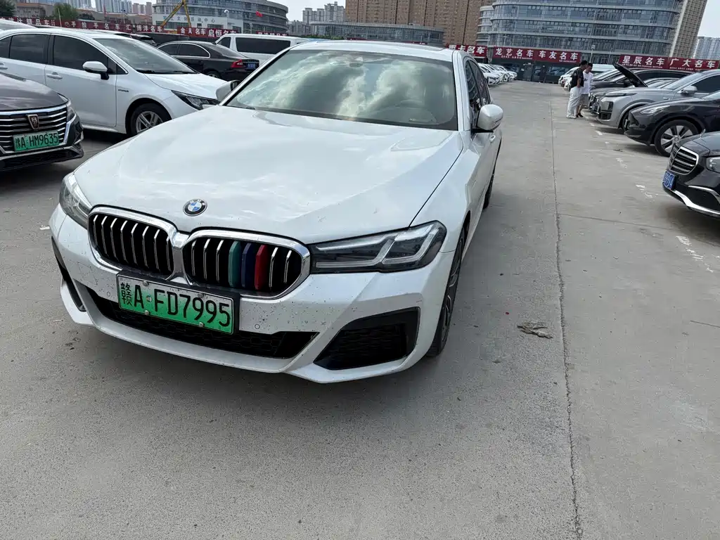 BMW 5 Series New Energy 2021