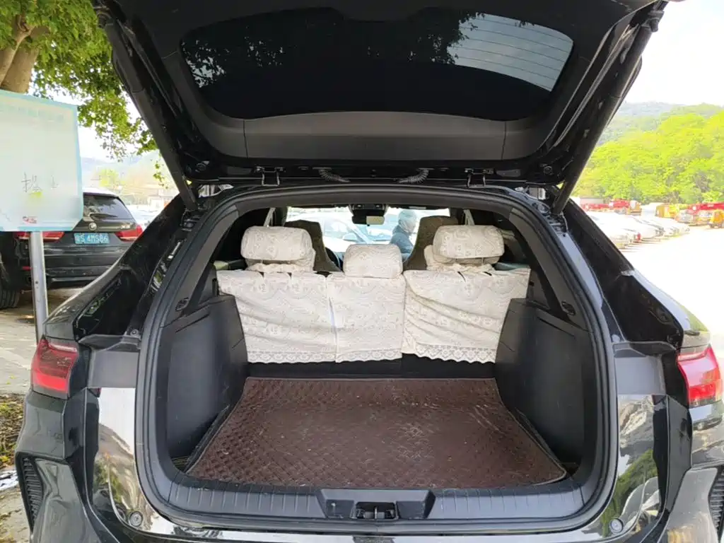 BYD Song PLUS New Energy 2024 — фото 19