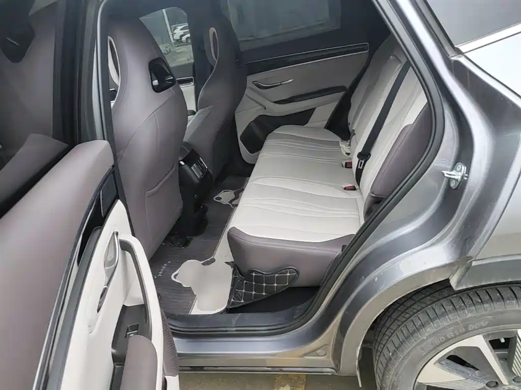 BYD PLUS New Energy 2024 — фото 17