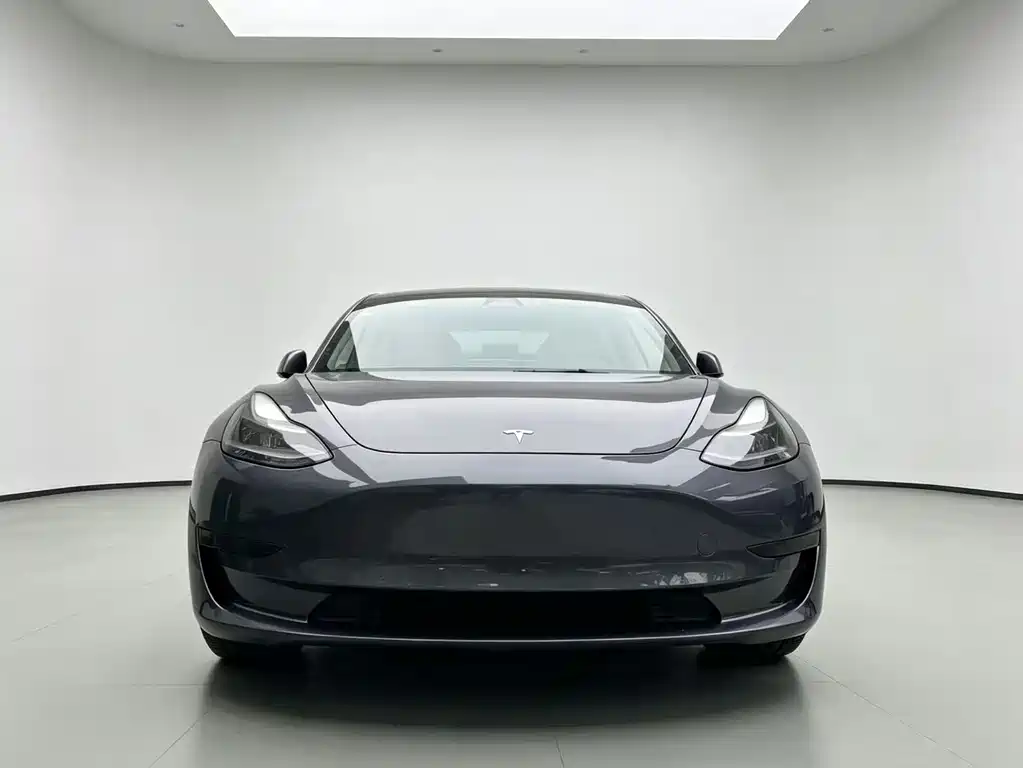 Tesla Model 3 2021 — фото 2