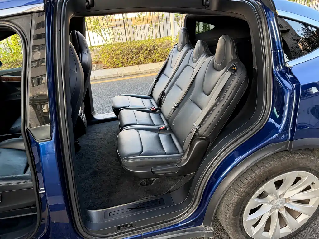 Tesla Model X 2019 — фото 11