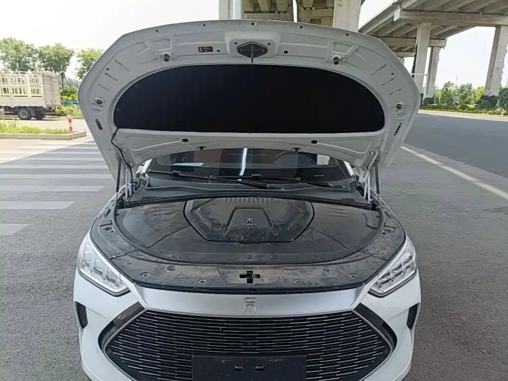 BYD PLUS New Energy 2022 — фото 20
