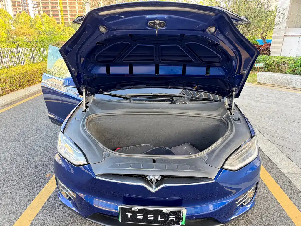 Tesla Model X 2019 — фото 13