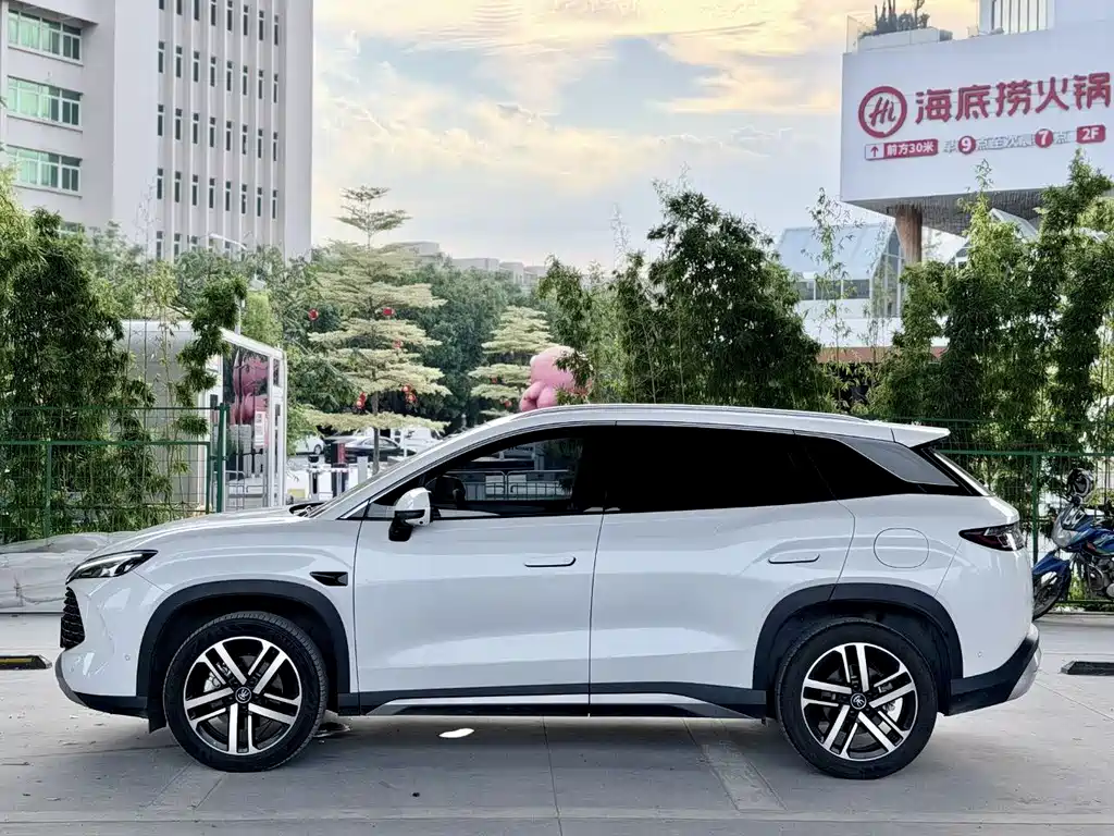 BYD L DM-i 2025 — фото 2