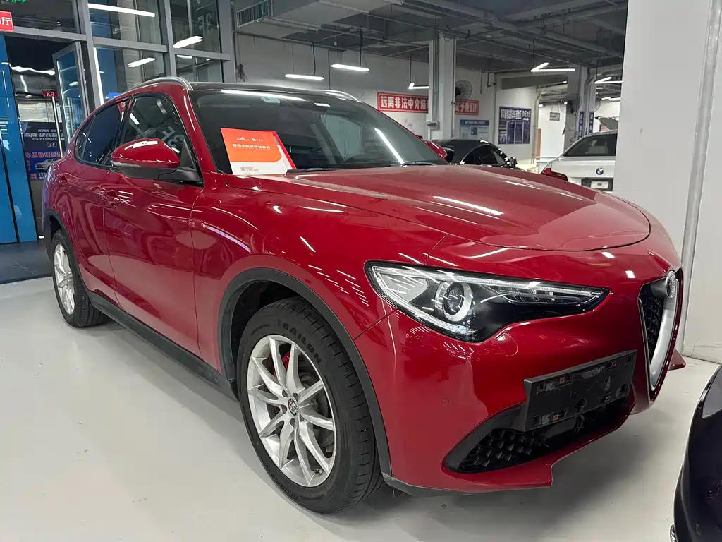 Alfa Romeo Stelvio 2019 — фото 2
