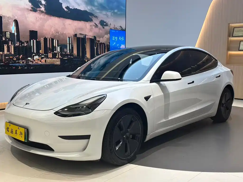 Tesla Model 3 2021 — фото 1