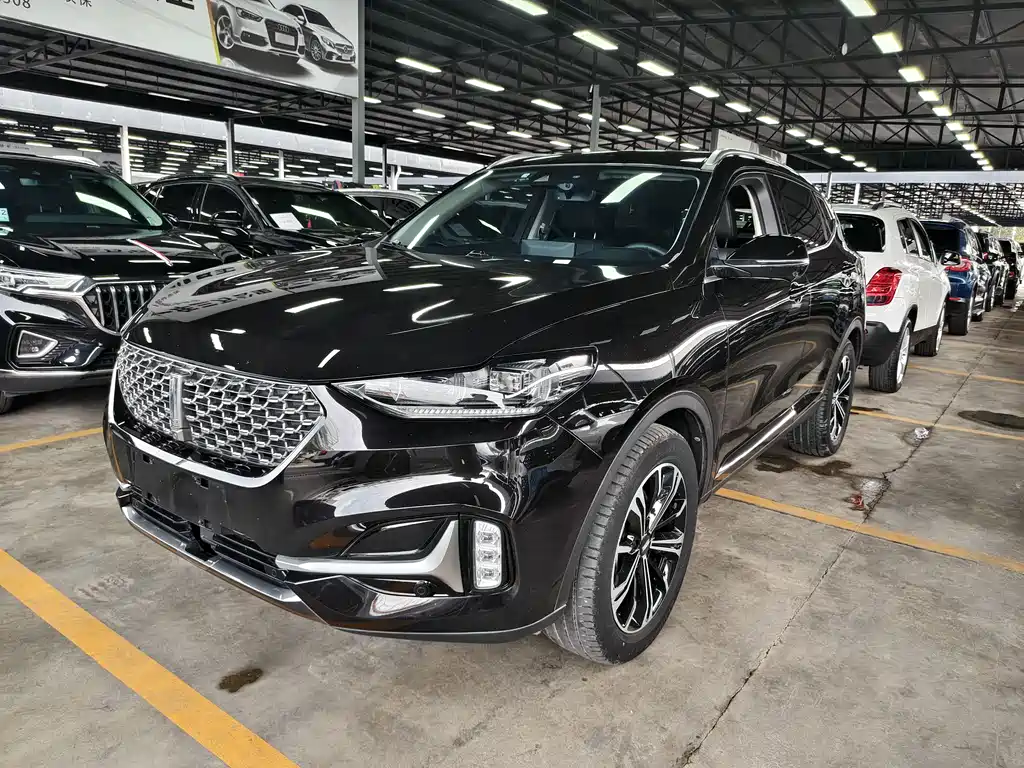 Wey VV6 2020