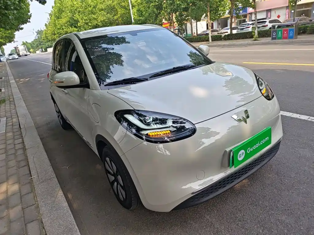 Wuling Bingo 2024