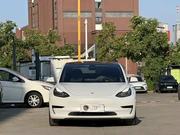 Tesla Model 3 2019