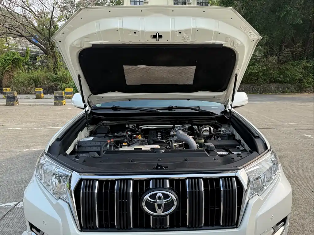 Toyota Prado 2020 — фото 10