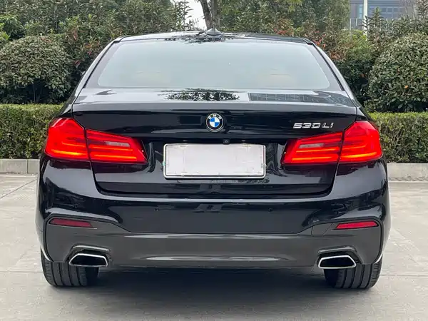 BMW 5 Series 2020
