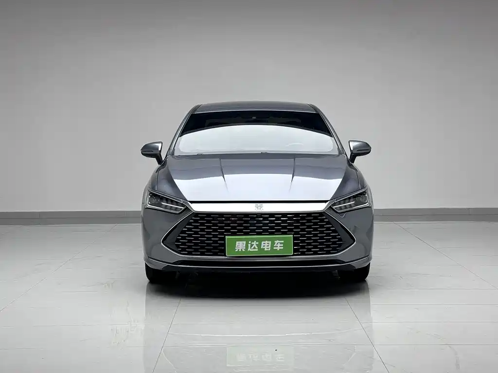 BYD Qin PLUS 2024 — фото 2