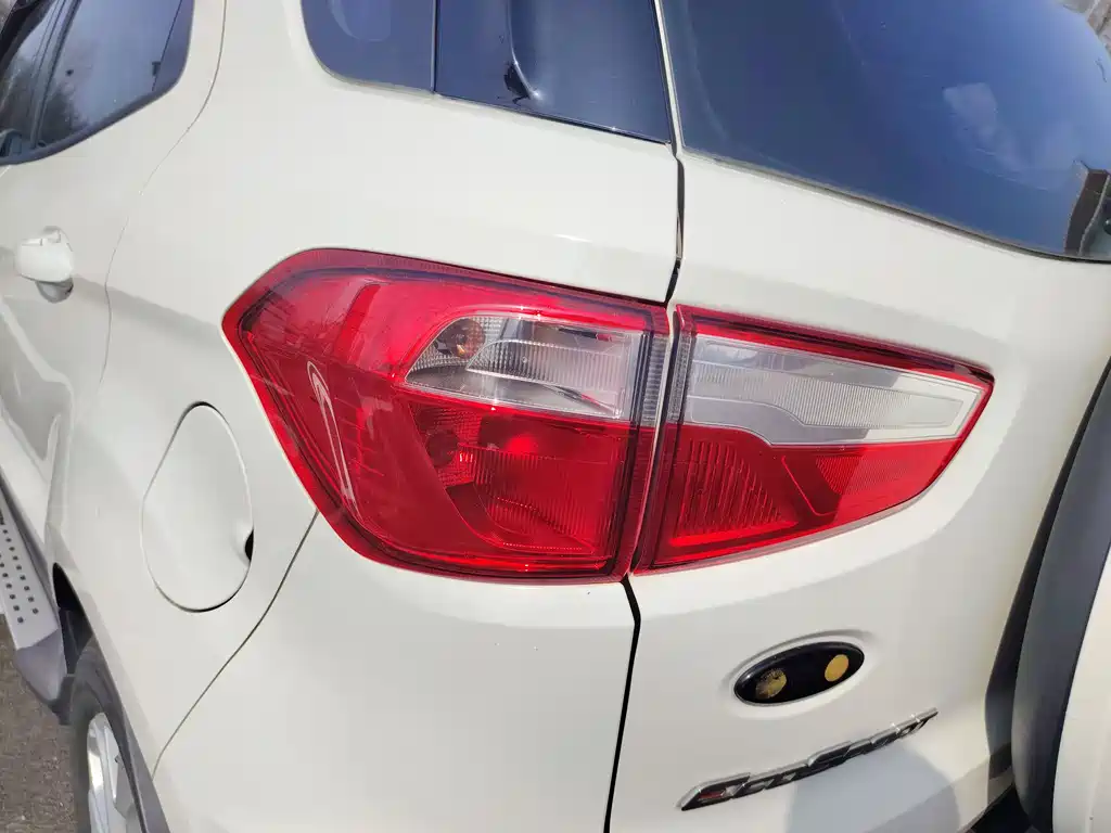 Ford Ecosport 2015 — фото 11