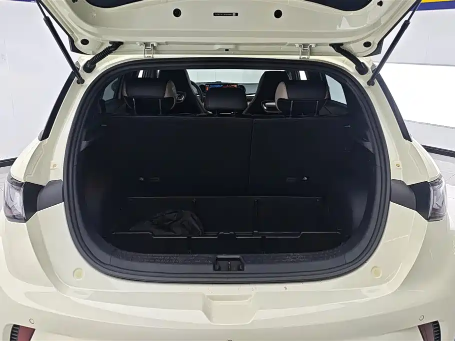 BYD Dolphin 2023
