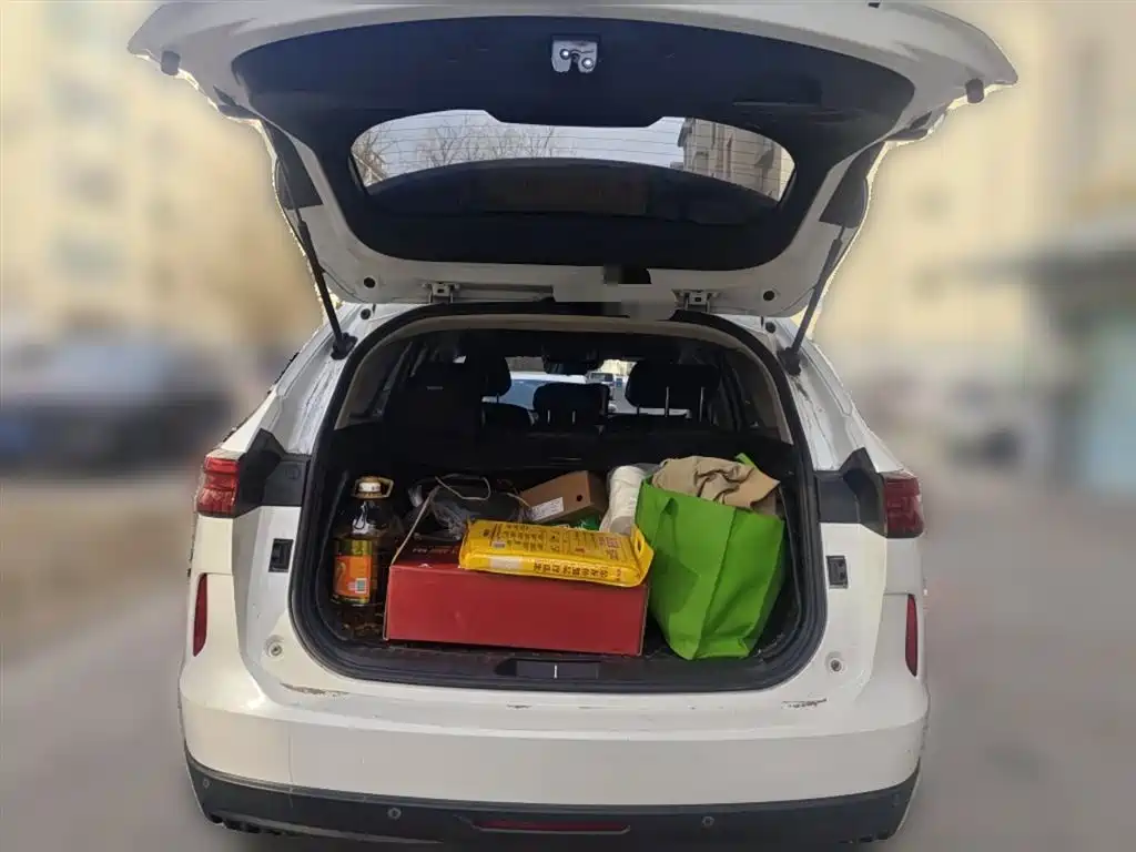 Haval H6 2022 — фото 10