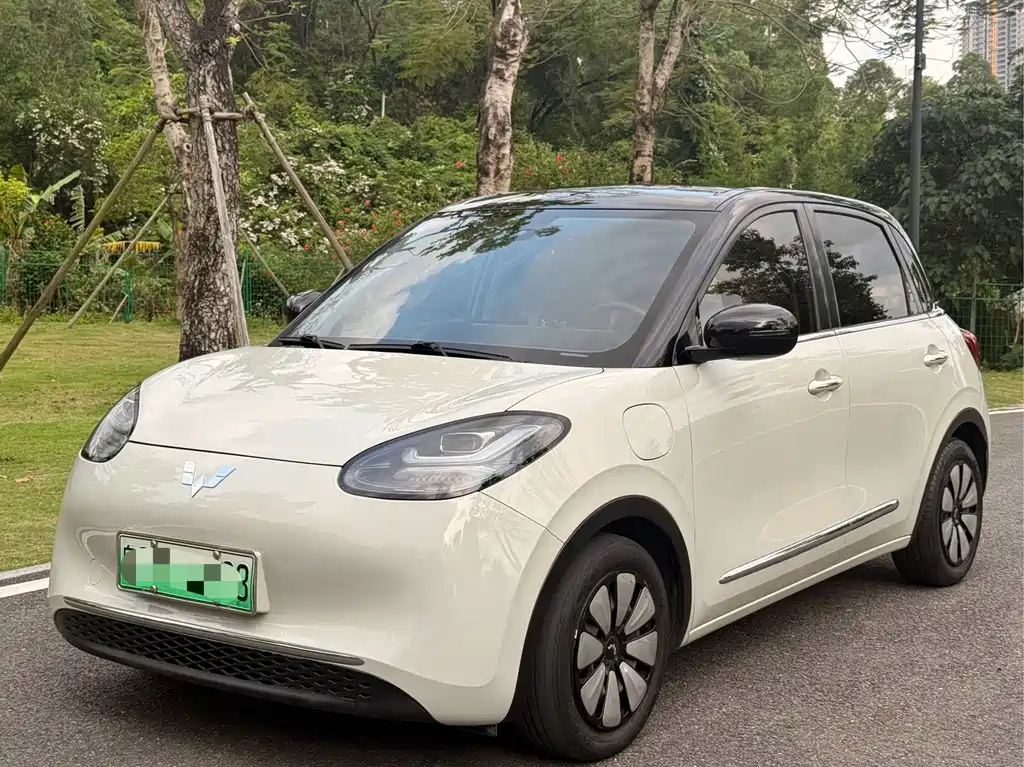 Wuling Bingo 2023