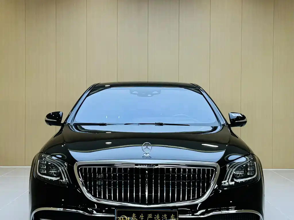 Mercedes-Benz S-Class 2019 — фото 2