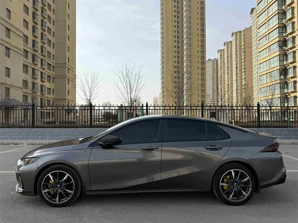 GAC Motor Shadow Leopard 2023 — фото 13