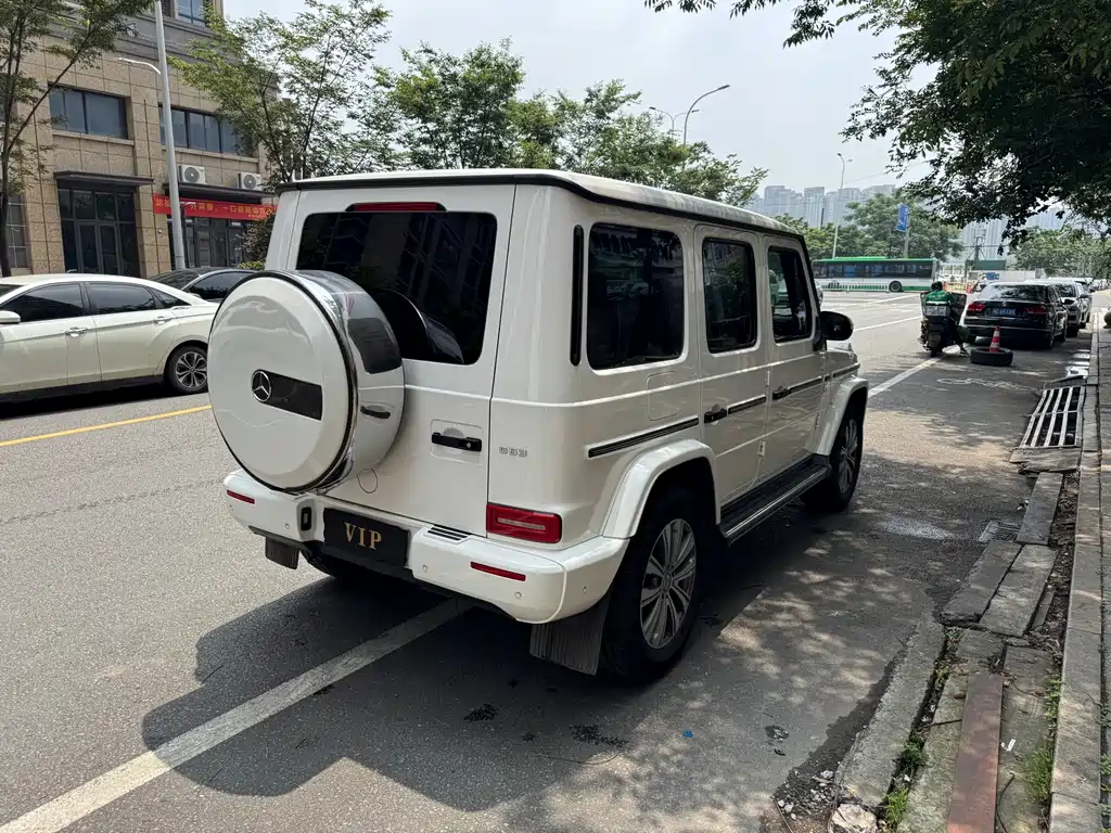 Mercedes-Benz G-Class 2019 — фото 18