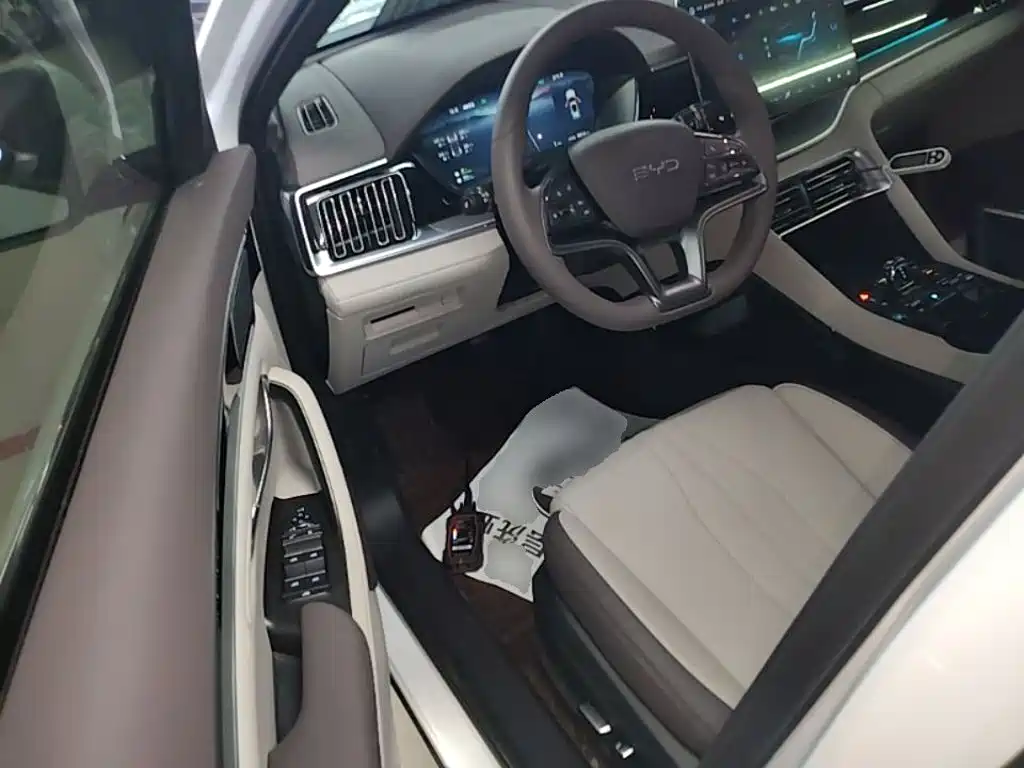 BYD PLUS New Energy 2025 — фото 16