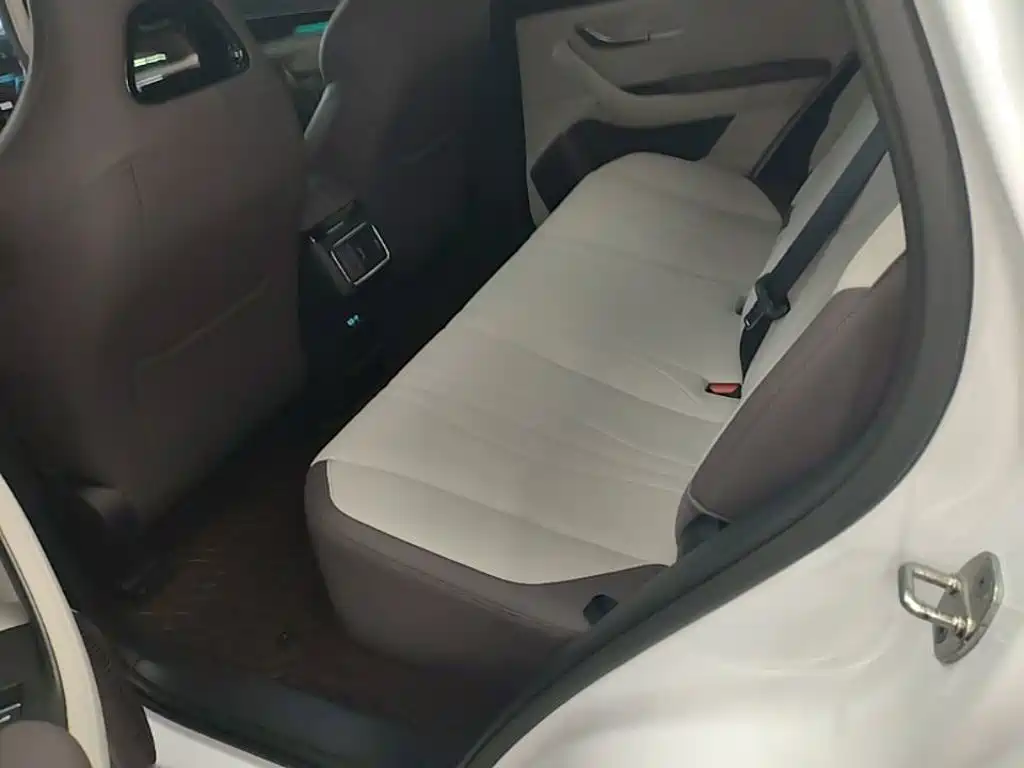 BYD PLUS New Energy 2025 — фото 17