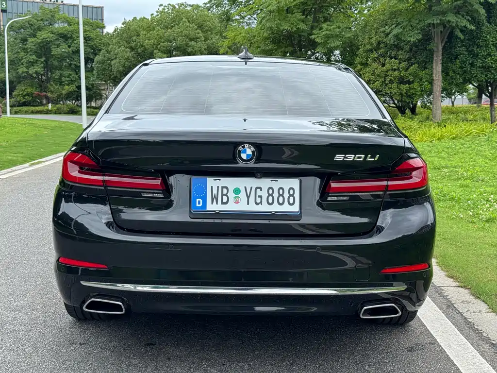 BMW 5 Series 2019