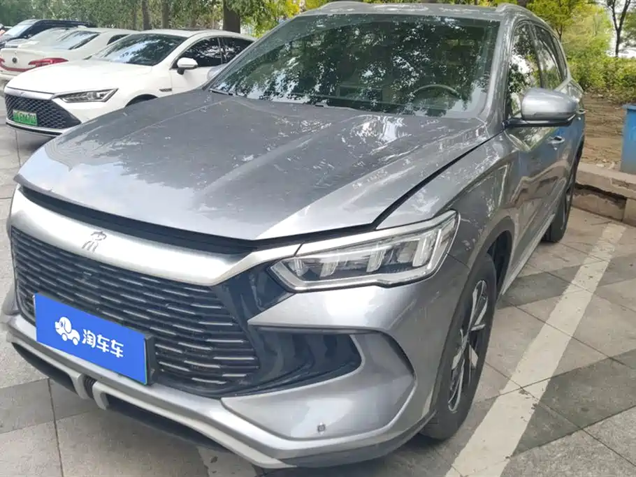 BYD Pro New Energy 2024