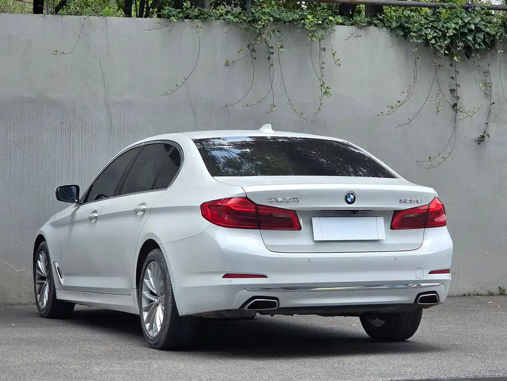 BMW 5 Series 2020