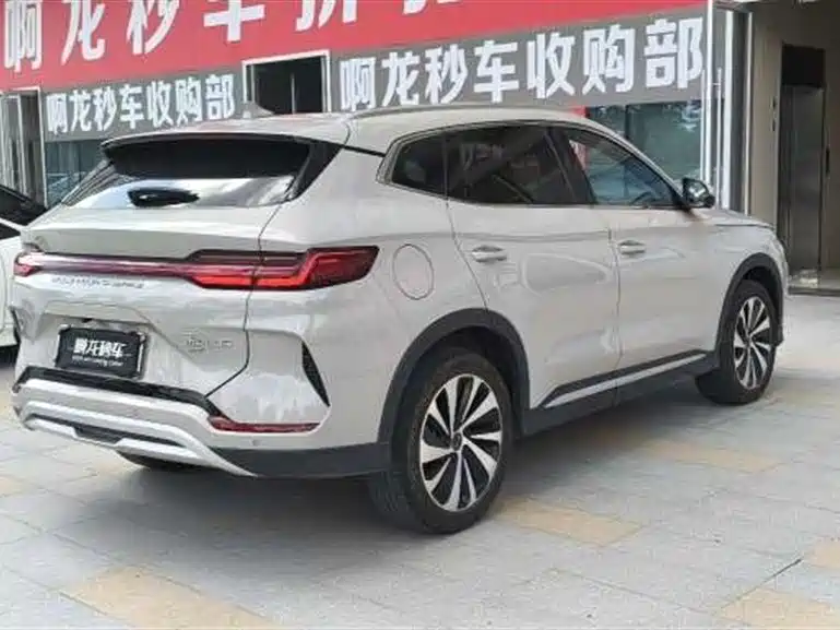 BYD Song PLUS New Energy 2024 — фото 9