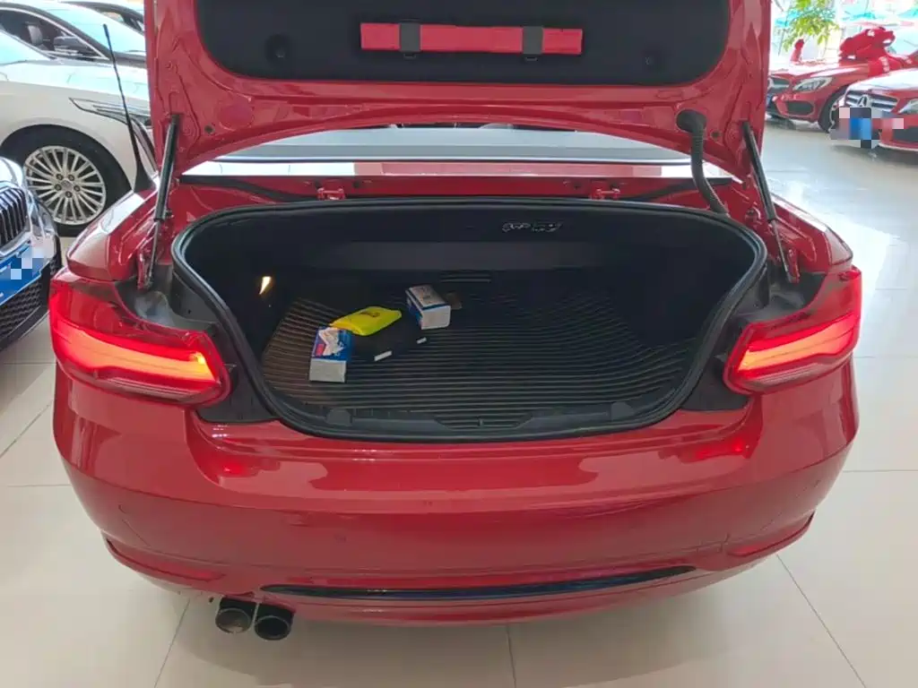 BMW 2 Series 2019 — фото 19