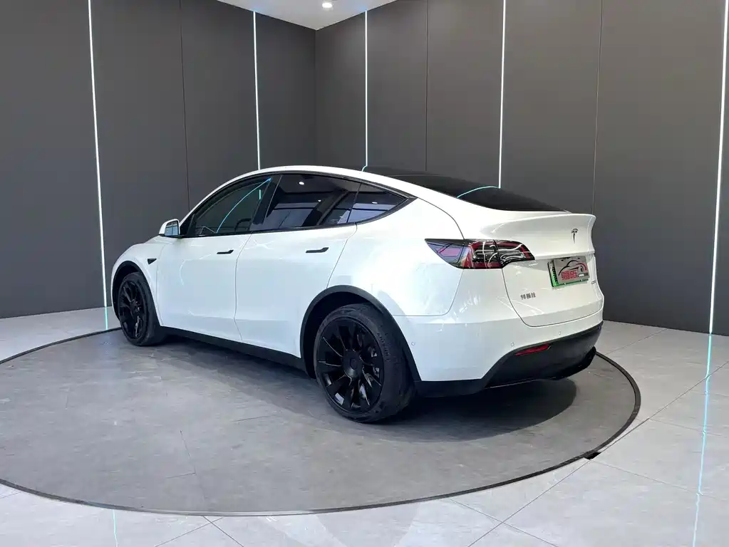 Tesla Model Y 2021 — фото 8