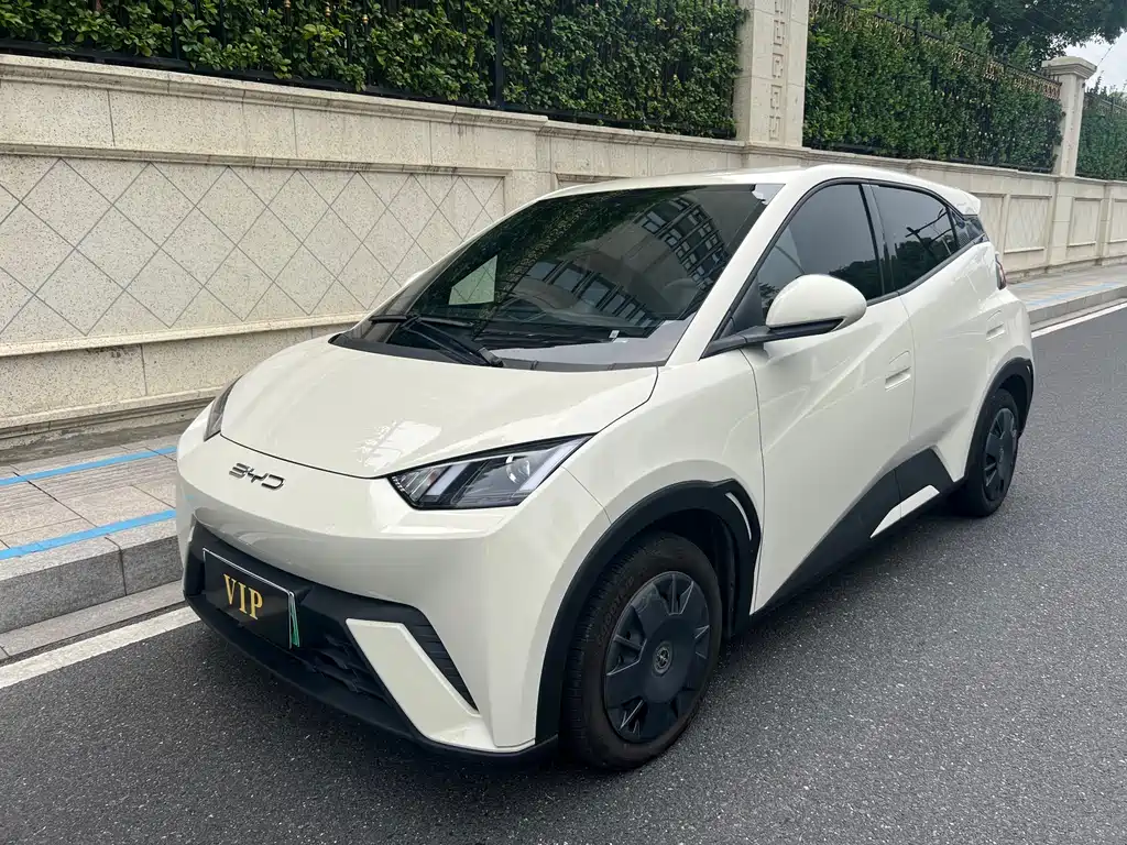 BYD Seagull 2024 — фото 1