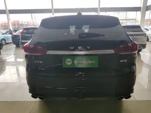 Wey VV6 2020