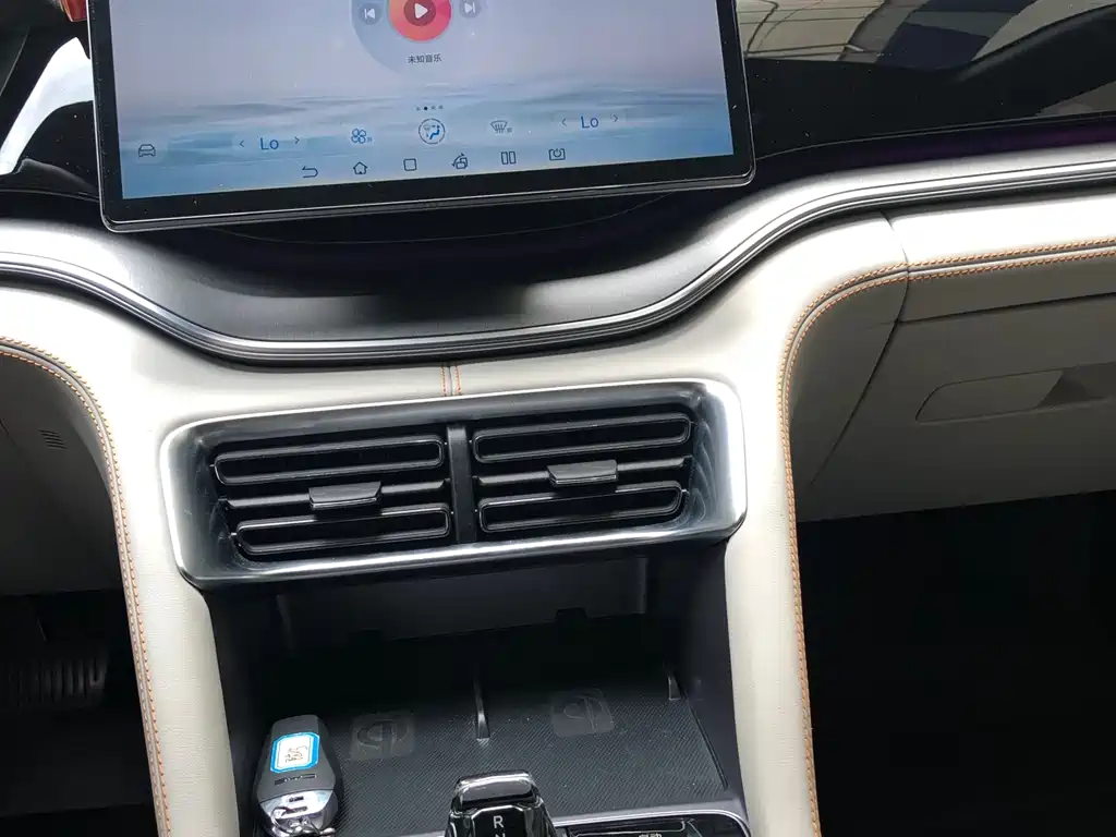 BYD PLUS New Energy 2023 — фото 15