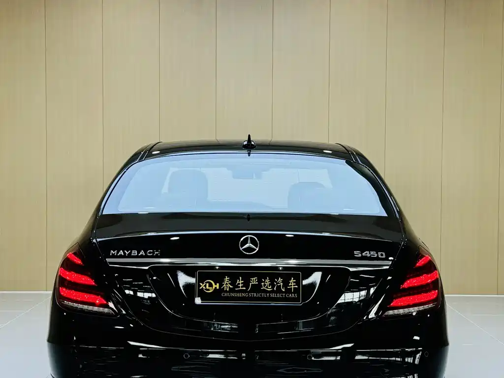 Mercedes-Benz S-Class 2019 — фото 20